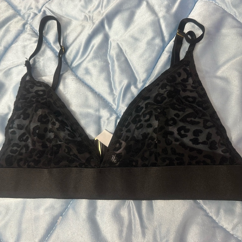 Forplay Black Velvet Triangle Bra Intimates